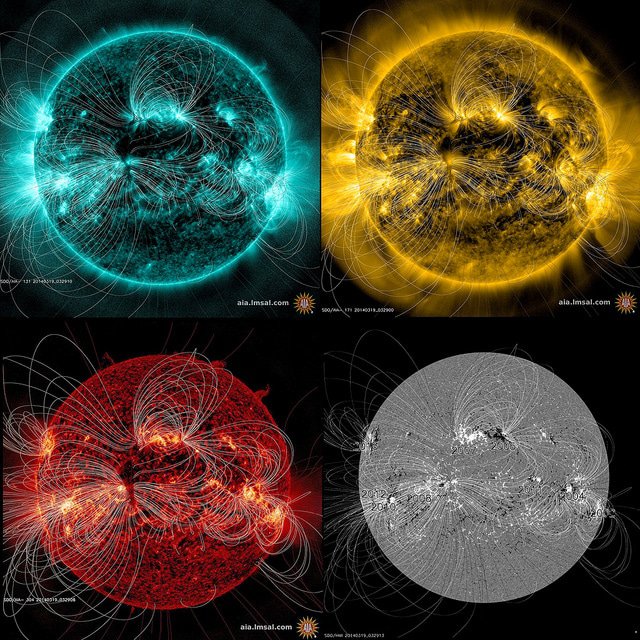 Représentations des lignes du champ magnétique du Soleil