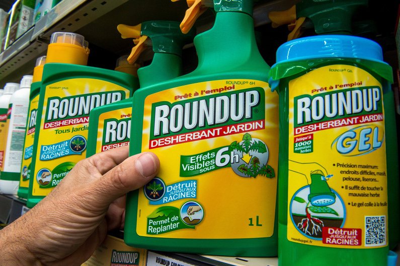 Le glyphosate, commercialisé par Monsanto, sous la marque Roundup
