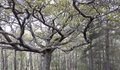 Sm 20210513 104035