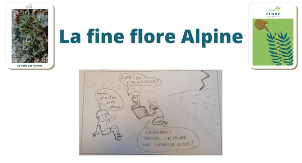 Lg la fine flore alpine