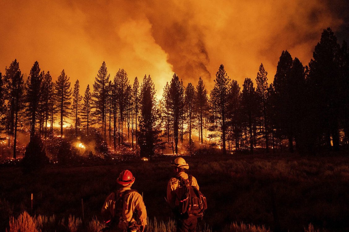 Quel est la température d'un feu ?