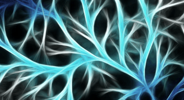 Experimenta 2022 – Bewegen und bewegt werden von den Lebenden |  ECHOWISSENSCHAFT