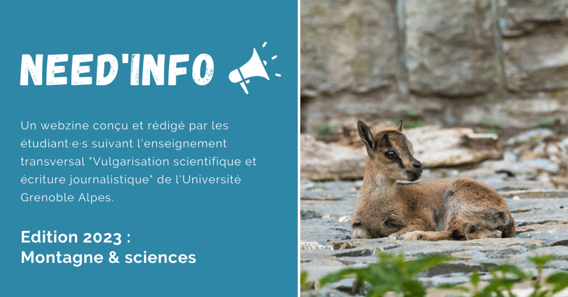 Chamois VS Bouquetins, comment les reconnaître ? ECHOSCIENCES Grenoble