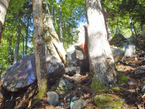 Blocs arrêtés par un groupe d'arbres