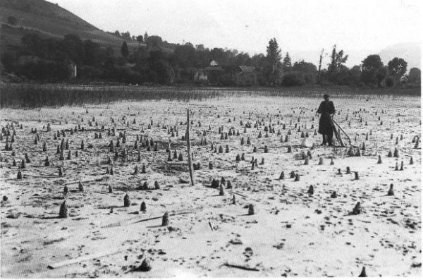 Les restes du village du Néolithique tels qu’ils apparaissaient lors de la sécheresse de l’hiver de 1921-22