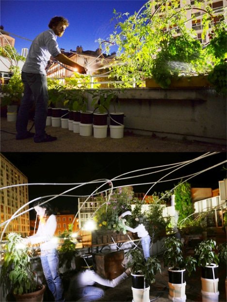 Installation des plantes à la Bibliothèque du centre-ville de Grenoble