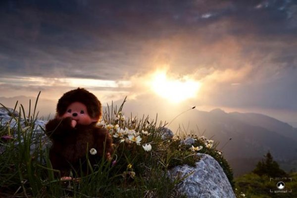 Kiki assiste au coucher de Soleil depuis le sommet du Charmant Som en Chartreuse