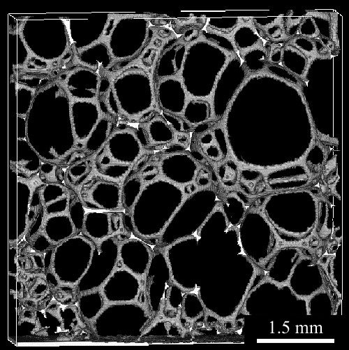 Image en tomographie à rayons X de mousse de polyuréthane prise à l'ESRF