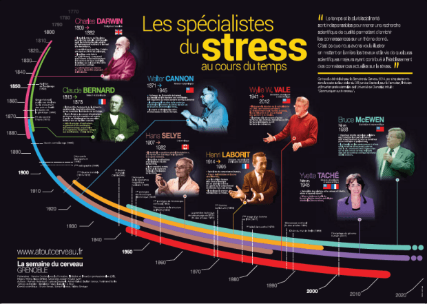 Comment je suis devenue chercheure scientifique sur le stress (Partie 1)