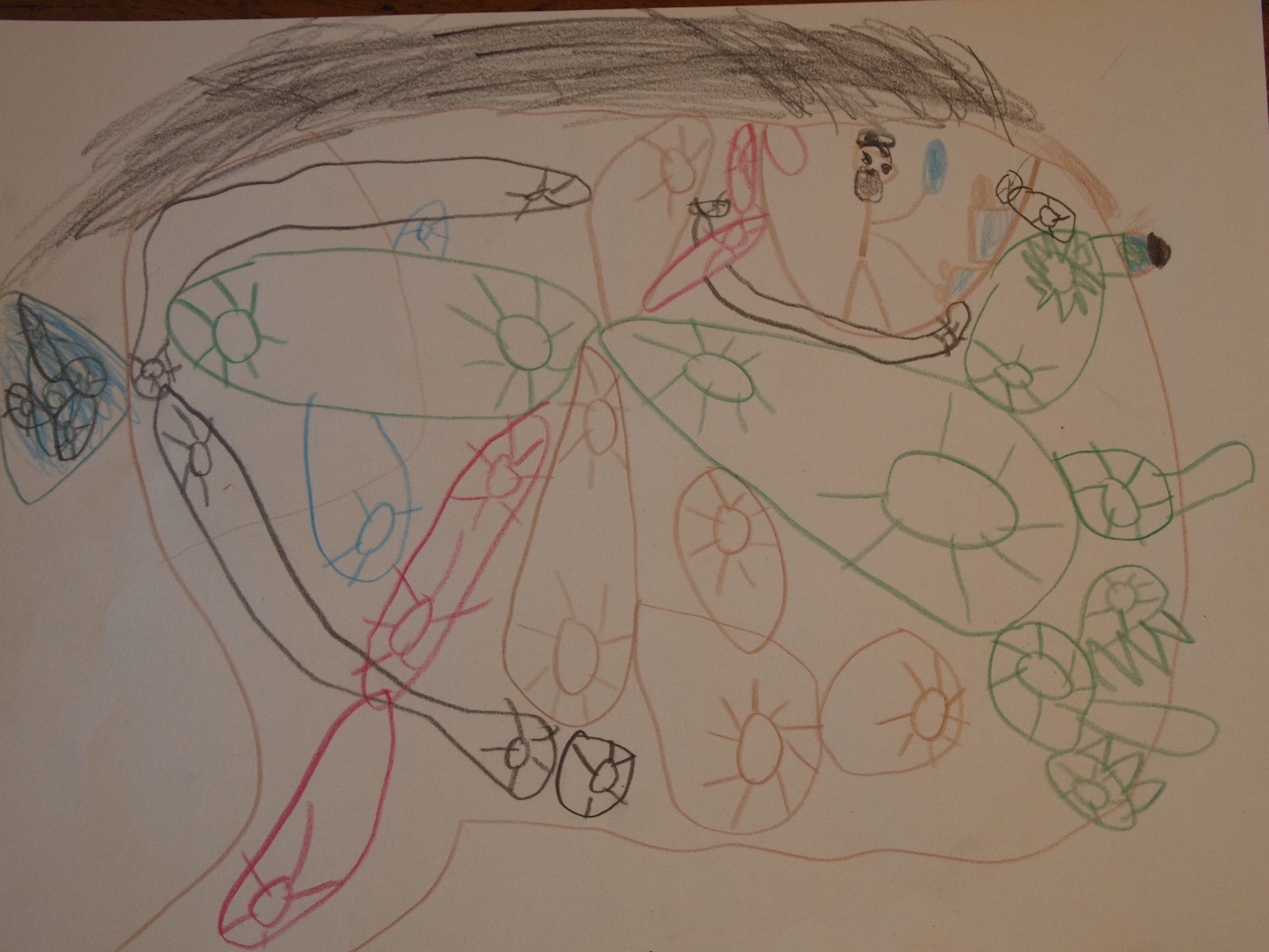 Le Cerveau dessiné par Nans, 6 ans