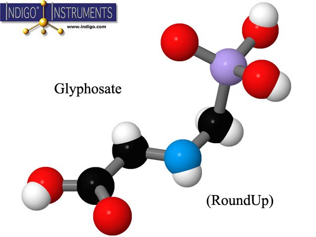 Molécule de synthèse du glyphosate
