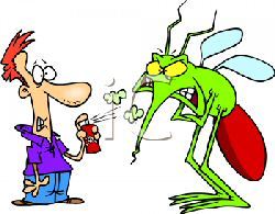 Illustration anti-moustique