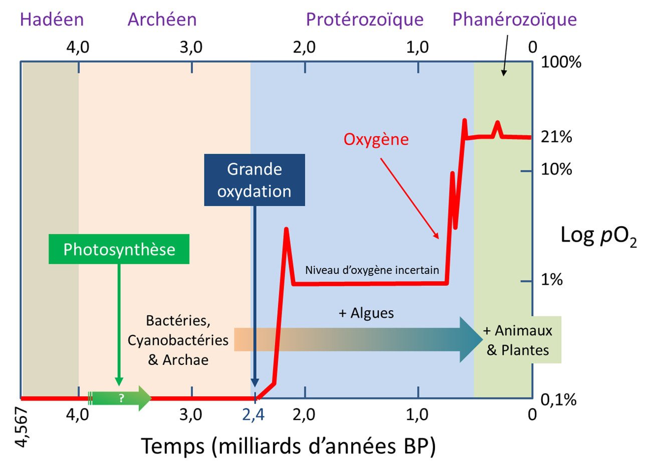 Enrichissement en oxygène dans les installations Claus