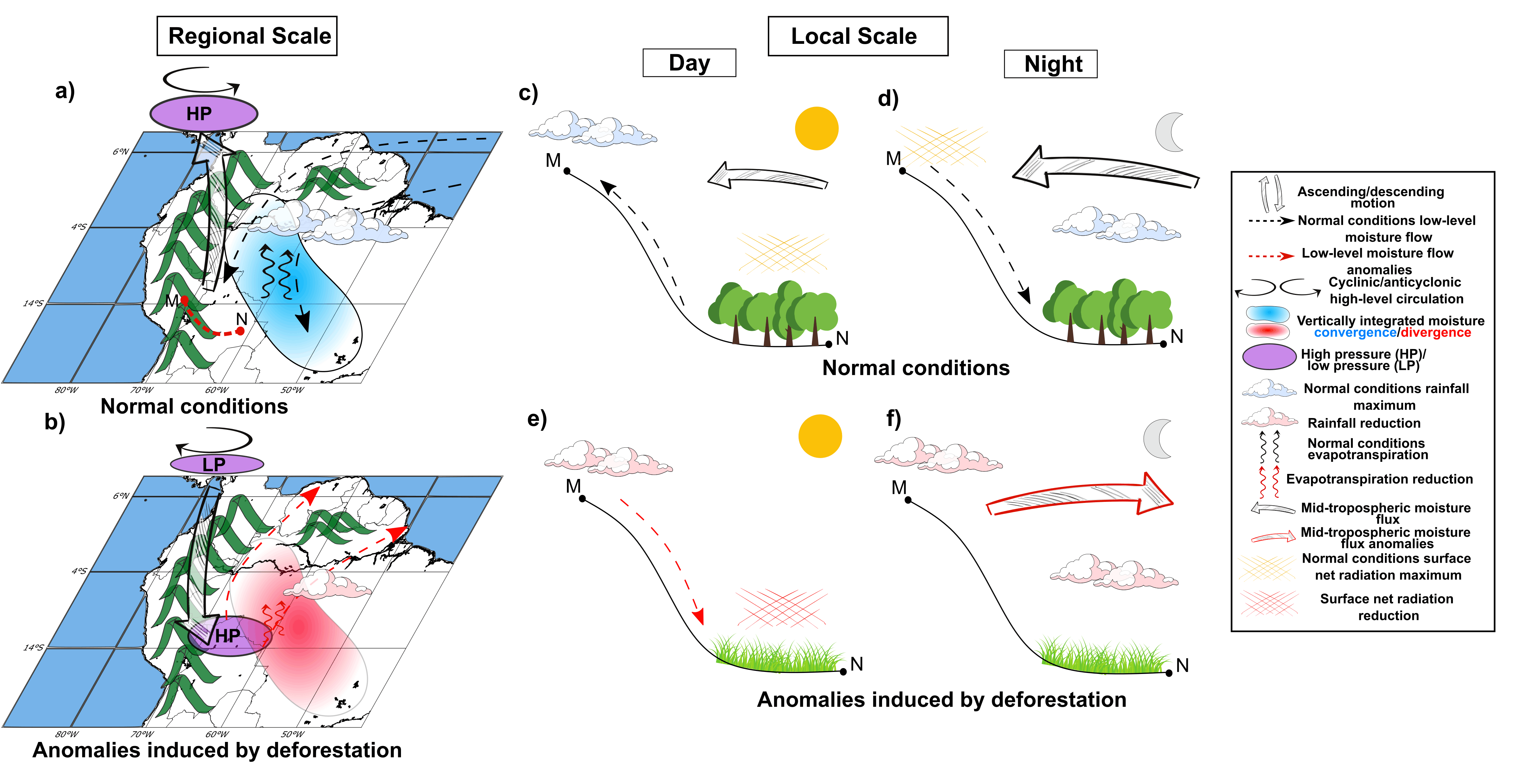 dissertation sur la deforestation