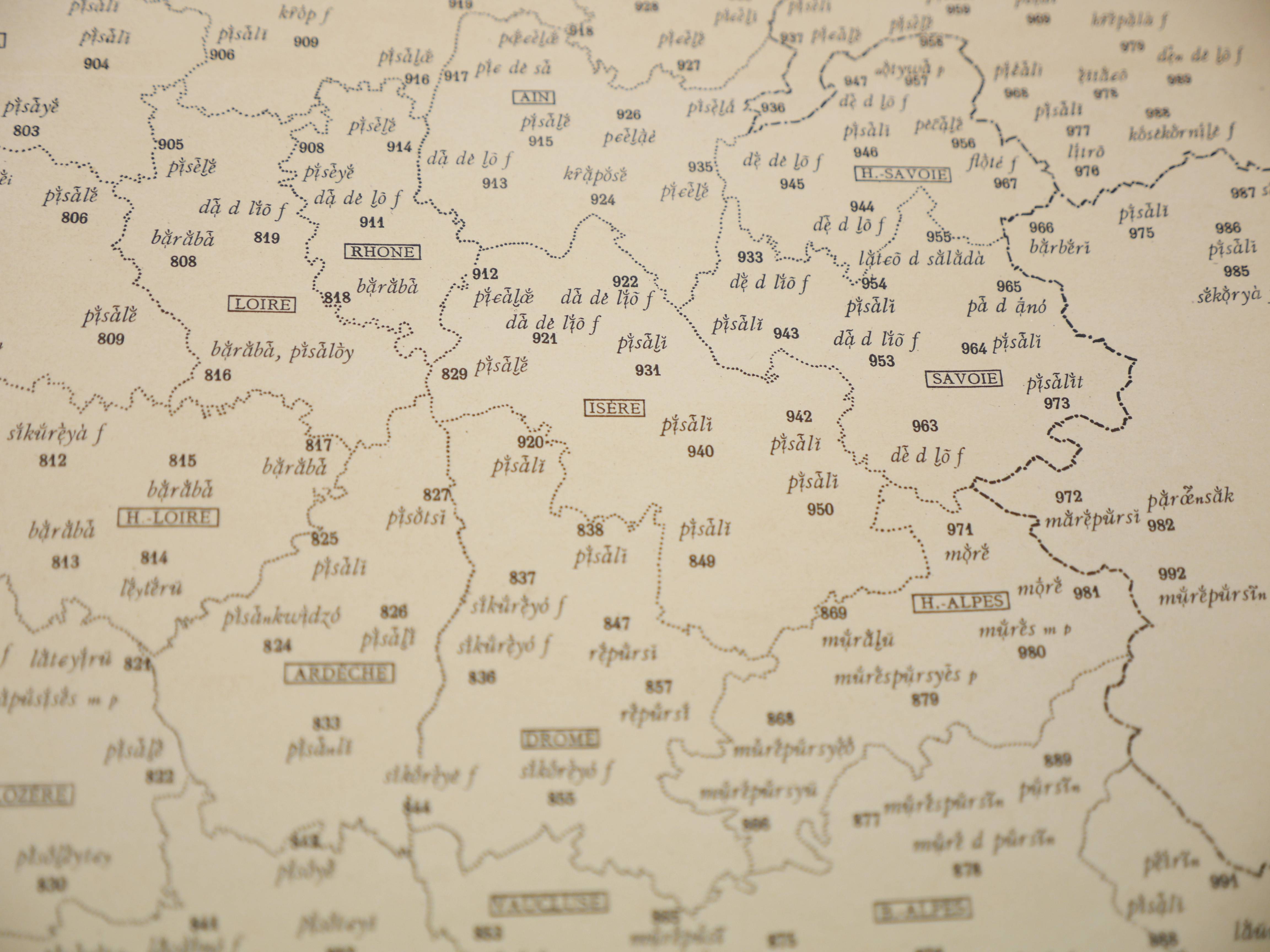 Points d’étude en Isère et départements voisins pour la carte linguistique du pissenlit