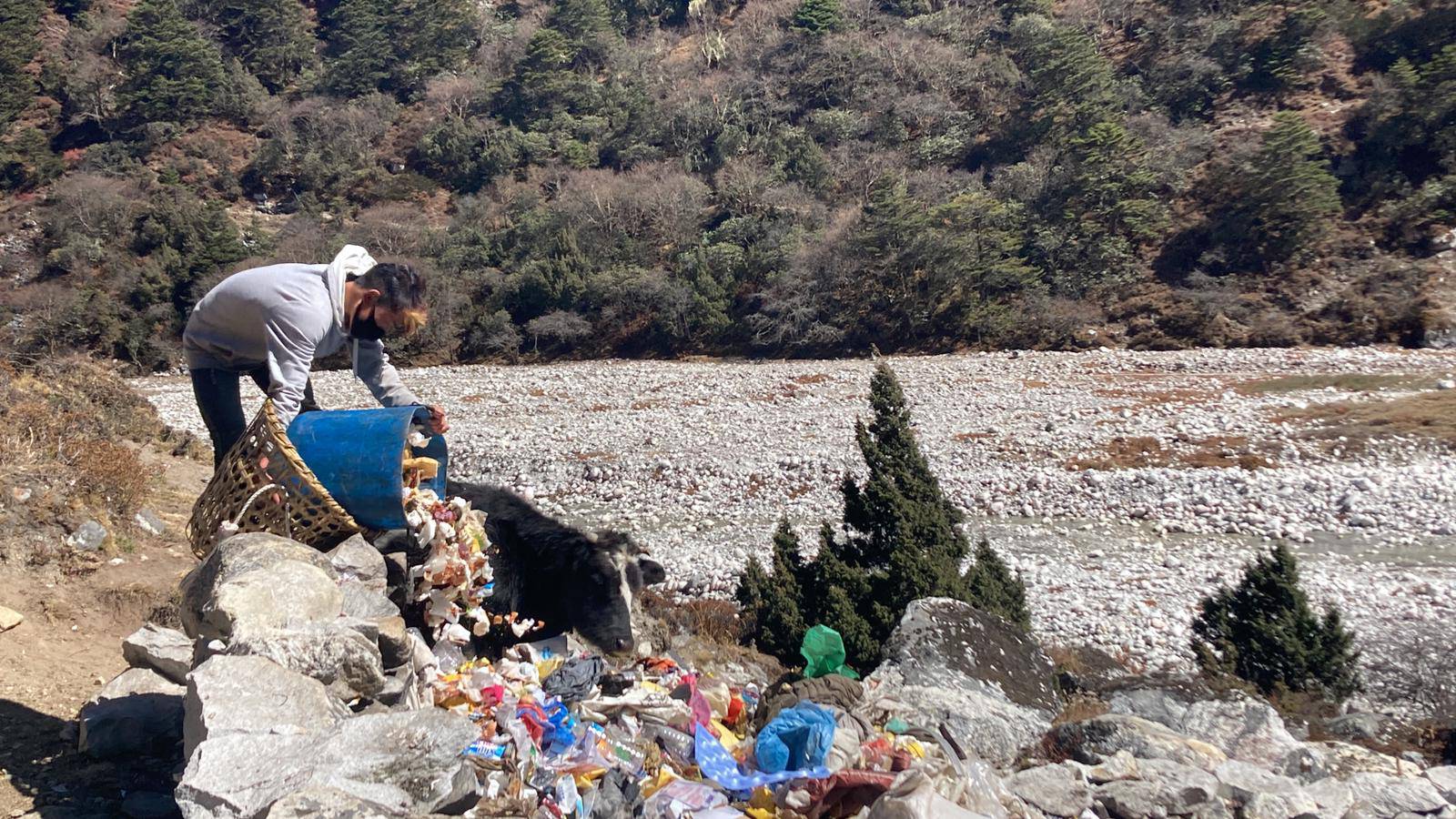 Le broyeur pour réduire les déchets plastiques en copeaux