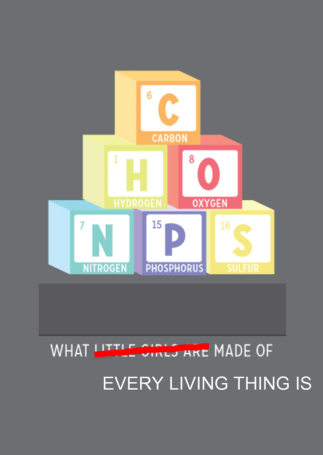 Les éléments CHONPS (Carbone, Hydrogène, Oxygène, Azote, Phosphore, Soufre) : ils constituent chaque être vivant. Image: H. Cloud, https://www.flickr.com/photos/hannahcloud/5607924071