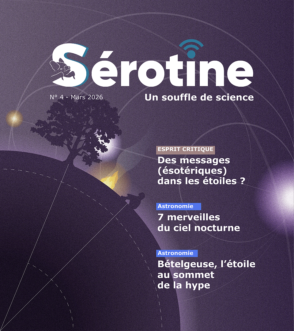 Couverture du 4e numéro de Sérotine