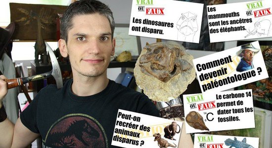 Lg event les secrets de la paleontologie partie 2 630919