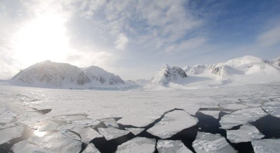Lg glace de mer dans l oc an arctique svalbard 768x514