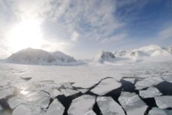 Xl glace de mer dans l oc an arctique svalbard 300x201