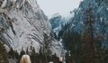 Sm ivana cajina e6f8iarqy7m unsplash